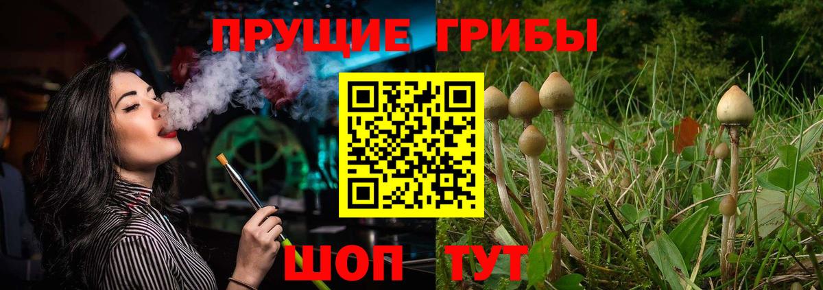 Новый Уренгой  Галлюциногенные грибы прущие грибы  Вход с VPN 