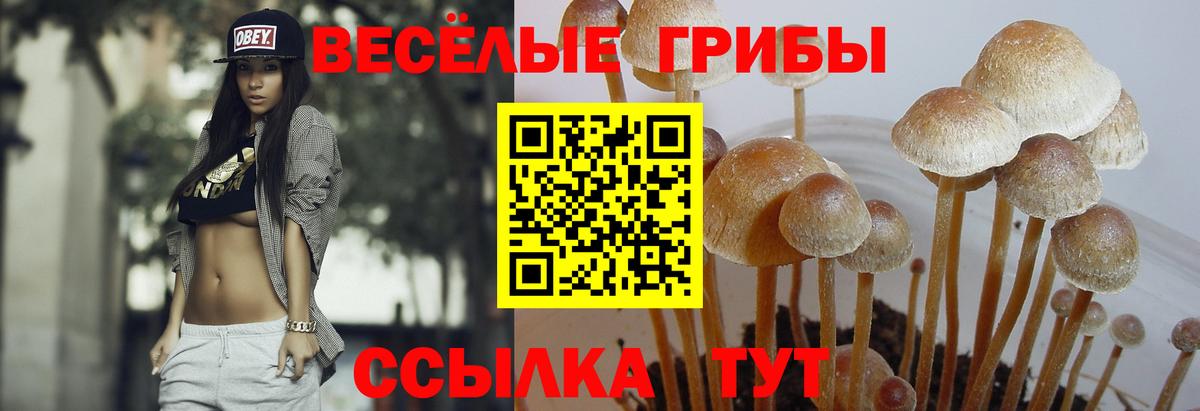 Галлюциногенные грибы мицелий Новый Уренгой